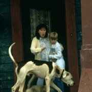 Daleko od domu 2: Zagubieni w San Francisco - galeria zdjęć - filmweb