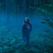 The Forest - galeria zdjęć - filmweb