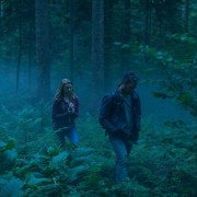 The Forest - galeria zdjęć - filmweb