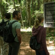 The Forest - galeria zdjęć - filmweb