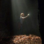 The Forest - galeria zdjęć - filmweb