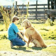Niezwykła podróż - galeria zdjęć - filmweb