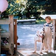 Niezwykła podróż - galeria zdjęć - filmweb