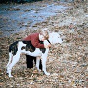 Niezwykła podróż - galeria zdjęć - filmweb