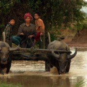 Red Wedding: Women Under the Khmer Rouge - galeria zdjęć - filmweb