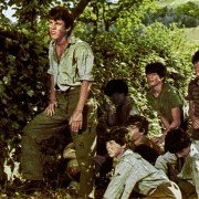 Gniazdo szerszeni - galeria zdjęć - filmweb