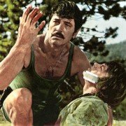 Gniazdo szerszeni - galeria zdjęć - filmweb