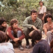 Gniazdo szerszeni - galeria zdjęć - filmweb