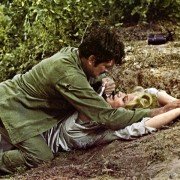 Gniazdo szerszeni - galeria zdjęć - filmweb