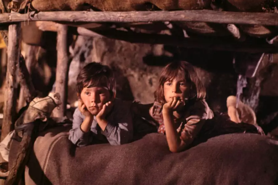 Gniazdo szerszeni - galeria zdjęć - filmweb