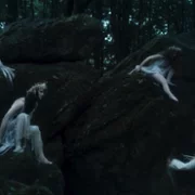 Pustelnica - galeria zdjęć - filmweb