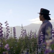 Magiczne Andy - galeria zdjęć - filmweb