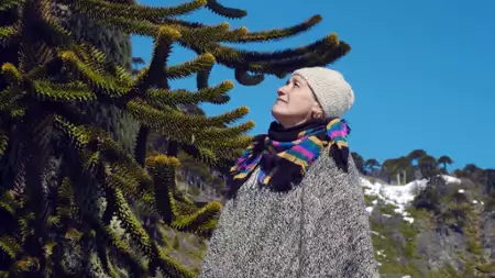 Magiczne Andy - galeria zdjęć - filmweb