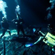 Pressure - galeria zdjęć - filmweb