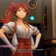 Shin Sakura Taisen - galeria zdjęć - filmweb