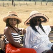 Jak Stella zdobyła miłość - galeria zdjęć - filmweb