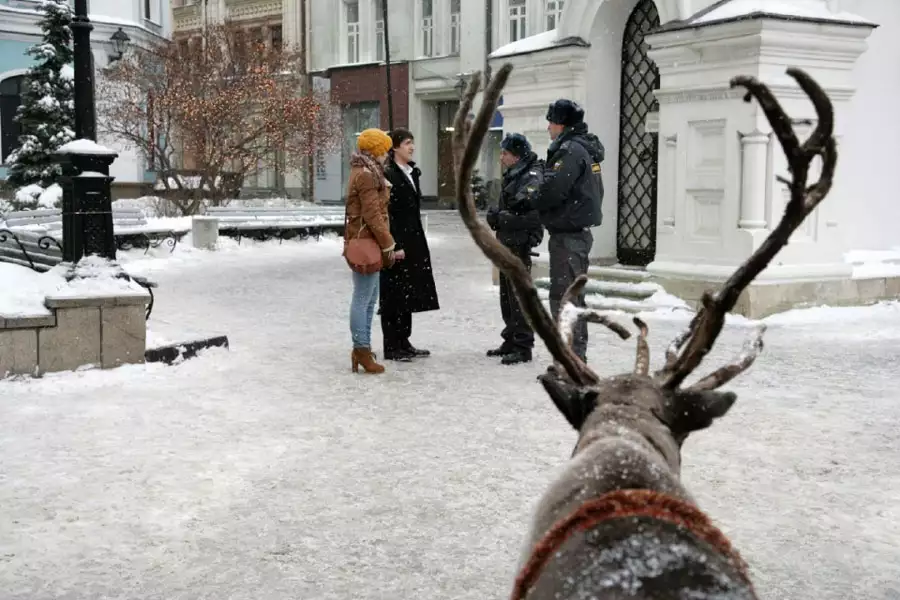 Moy paren - Angel - galeria zdjęć - filmweb