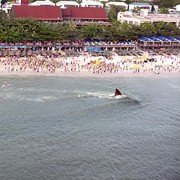 The Meg - galeria zdjęć - filmweb