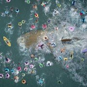The Meg - galeria zdjęć - filmweb