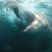 The Meg - galeria zdjęć - filmweb