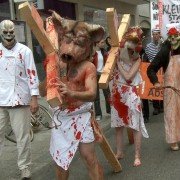 Im Namen der Tiere - galeria zdjęć - filmweb