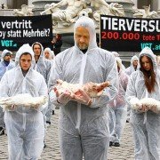 W imię zwierząt - galeria zdjęć - filmweb