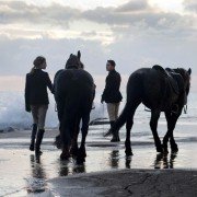 Belle du Seigneur - galeria zdjęć - filmweb