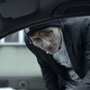 Kawałek serca - galeria zdjęć