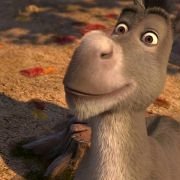 Shrek the Halls - galeria zdjęć - filmweb