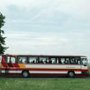 Kawałek novego serca - galeria zdjęć
