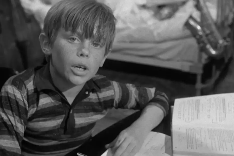 Niewiarygodne przygody Marka Piegusa - galeria zdjęć - filmweb