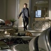 Star - galeria zdjęć - filmweb