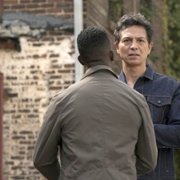 Star - galeria zdjęć - filmweb