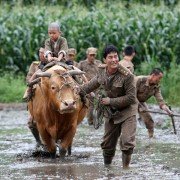 Jeok-gwa-eui Dong-chim - galeria zdjęć - filmweb