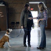Downward Dog - galeria zdjęć - filmweb