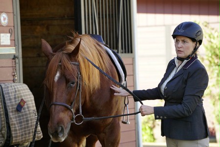 Sezon 1 Odcinek 12 H-E-R–HERO