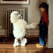 Look Who's Talking Now - galeria zdjęć - filmweb