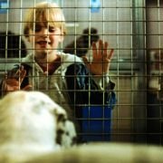 Look Who's Talking Now - galeria zdjęć - filmweb