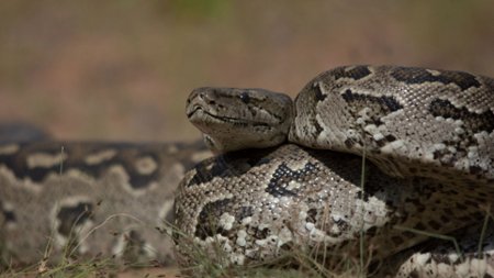 Sezon 5 Odcinek 1 Zab&oacute;jcze uderzenie