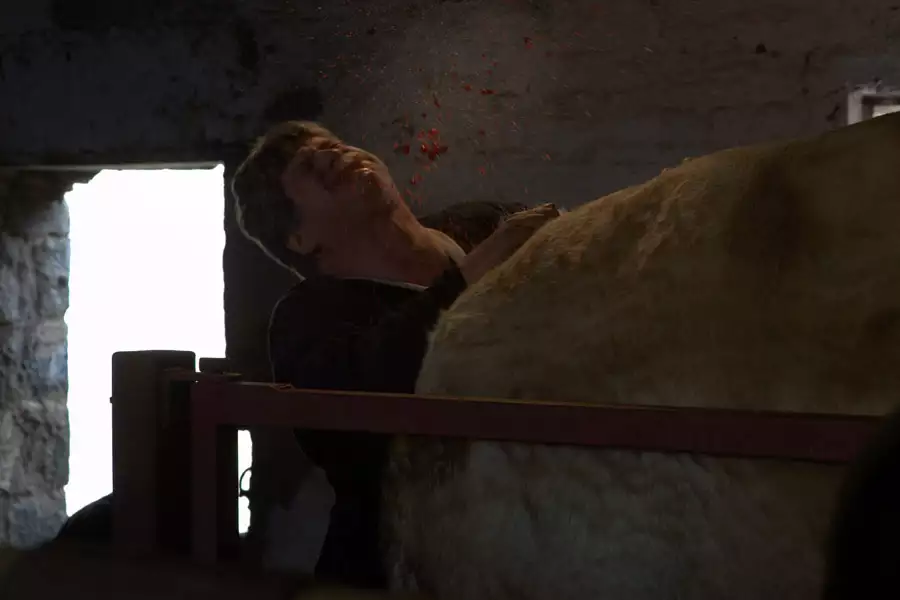 Wake Wood - galeria zdjęć - filmweb