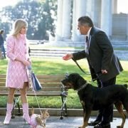 Legalna blondynka 2 - galeria zdjęć - filmweb