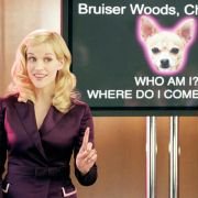 Legally Blonde 2: Red, White & Blonde - galeria zdjęć - filmweb