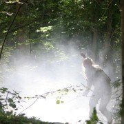 Wrong Turn 3: Left for Dead - galeria zdjęć - filmweb