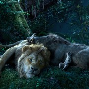 The Lion King - galeria zdjęć - filmweb