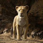 The Lion King - galeria zdjęć - filmweb