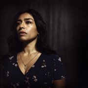 Coyote - galeria zdjęć - filmweb
