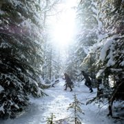Wynonna Earp - galeria zdjęć - filmweb