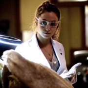 Wynonna Earp - galeria zdjęć - filmweb