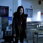 Wynonna Earp - galeria zdjęć - filmweb