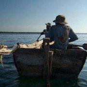 Wavumba - galeria zdjęć - filmweb
